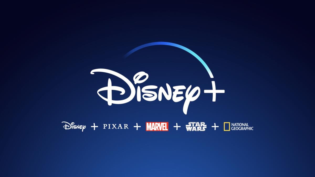 Disney + account (6 months)