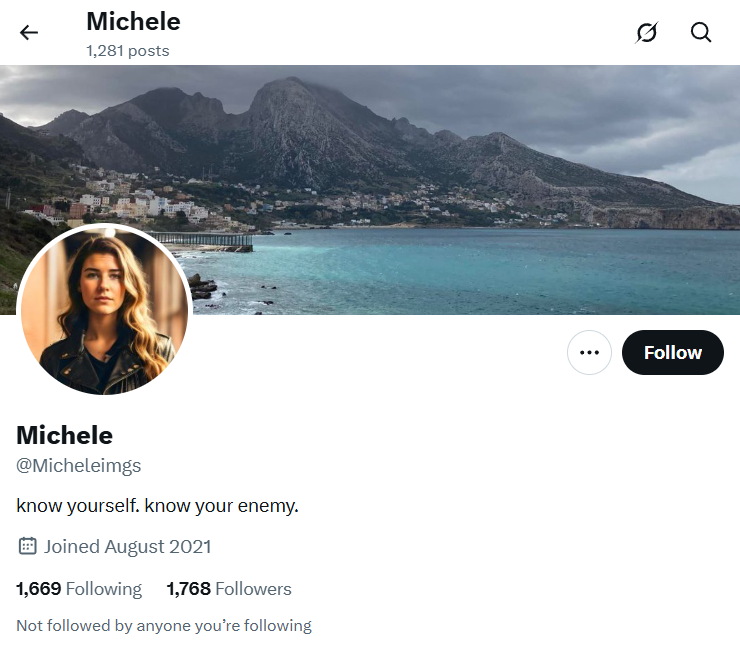 𝕏 1.7k @Micheleimgs