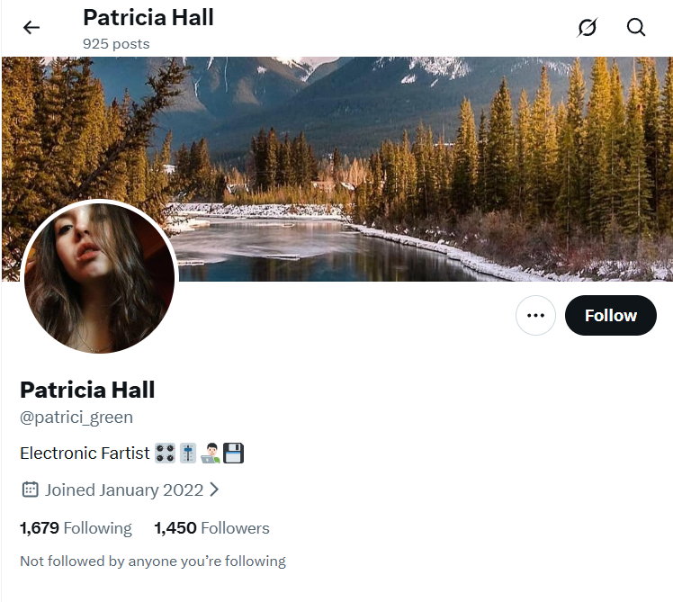 𝕏 1.4k @patrici_green