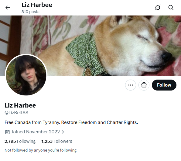 𝕏 1.2k @LizBelt88