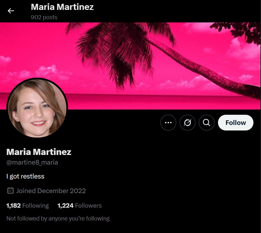 𝕏 1.2k @martine8_maria