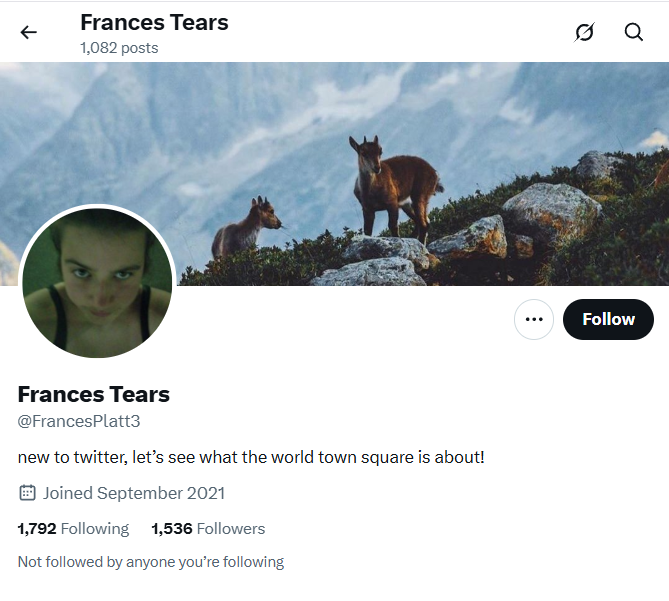𝕏 1.5k @FrancesPlatt3