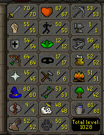 1000+ Total Level