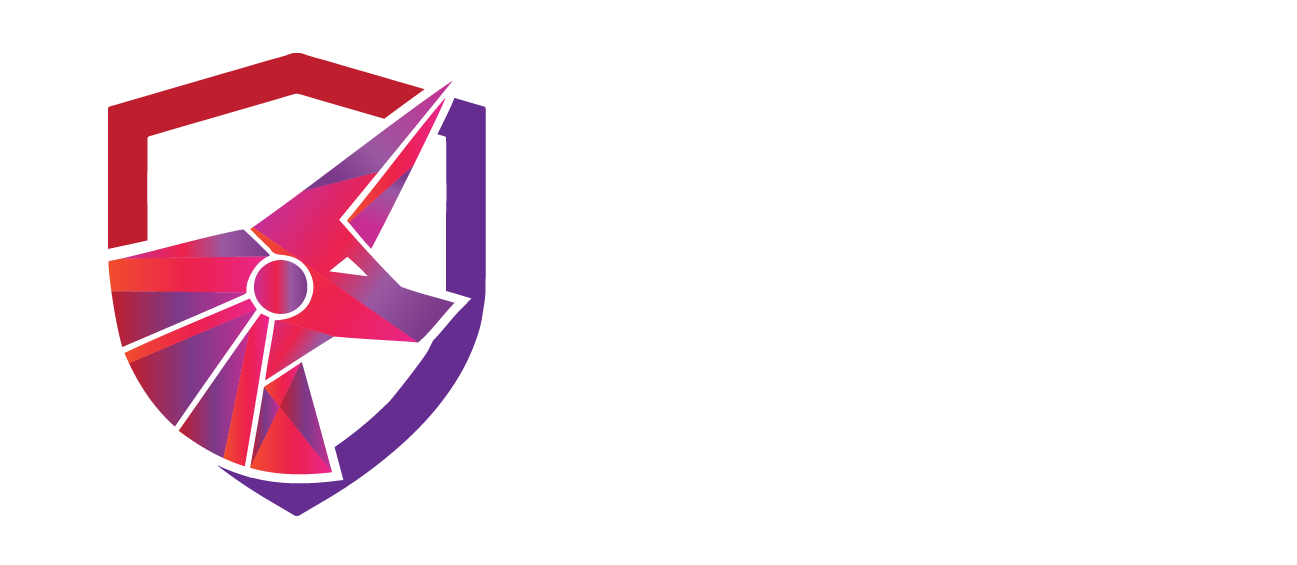 PNPT + PJPT EXAM WRITEUP 2025