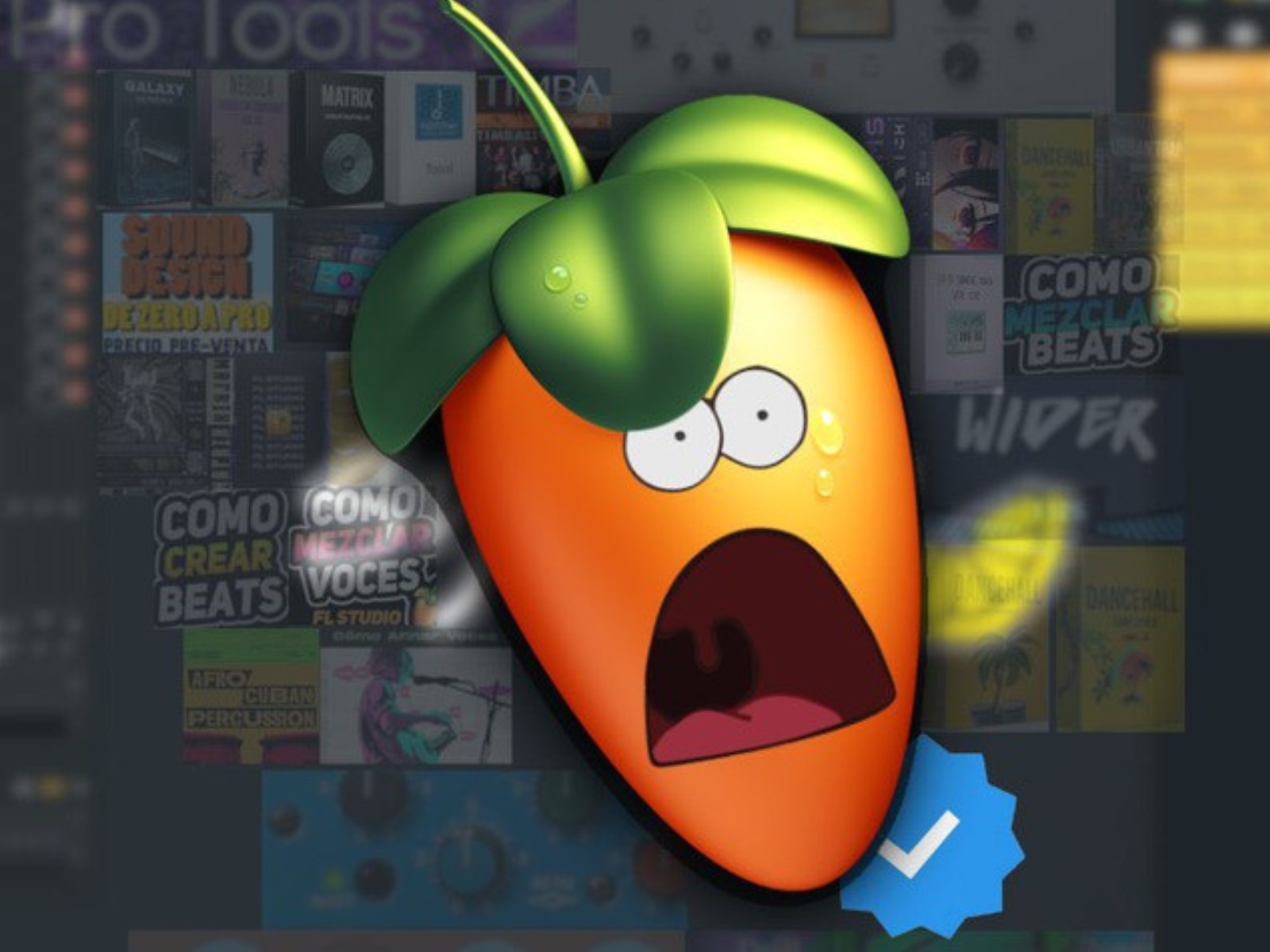 6 MESES DE FL STUDIO
