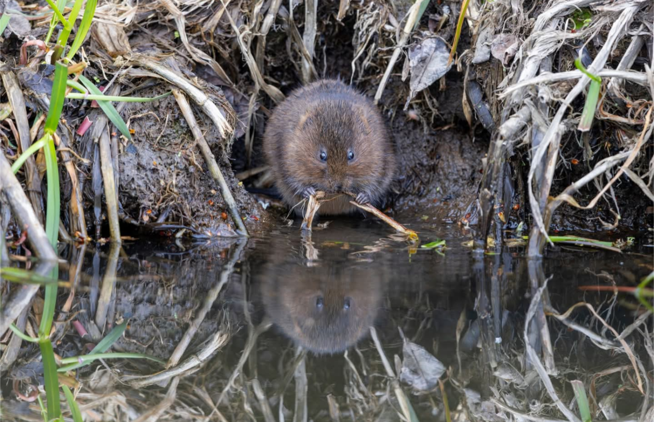 Product - 1747575267