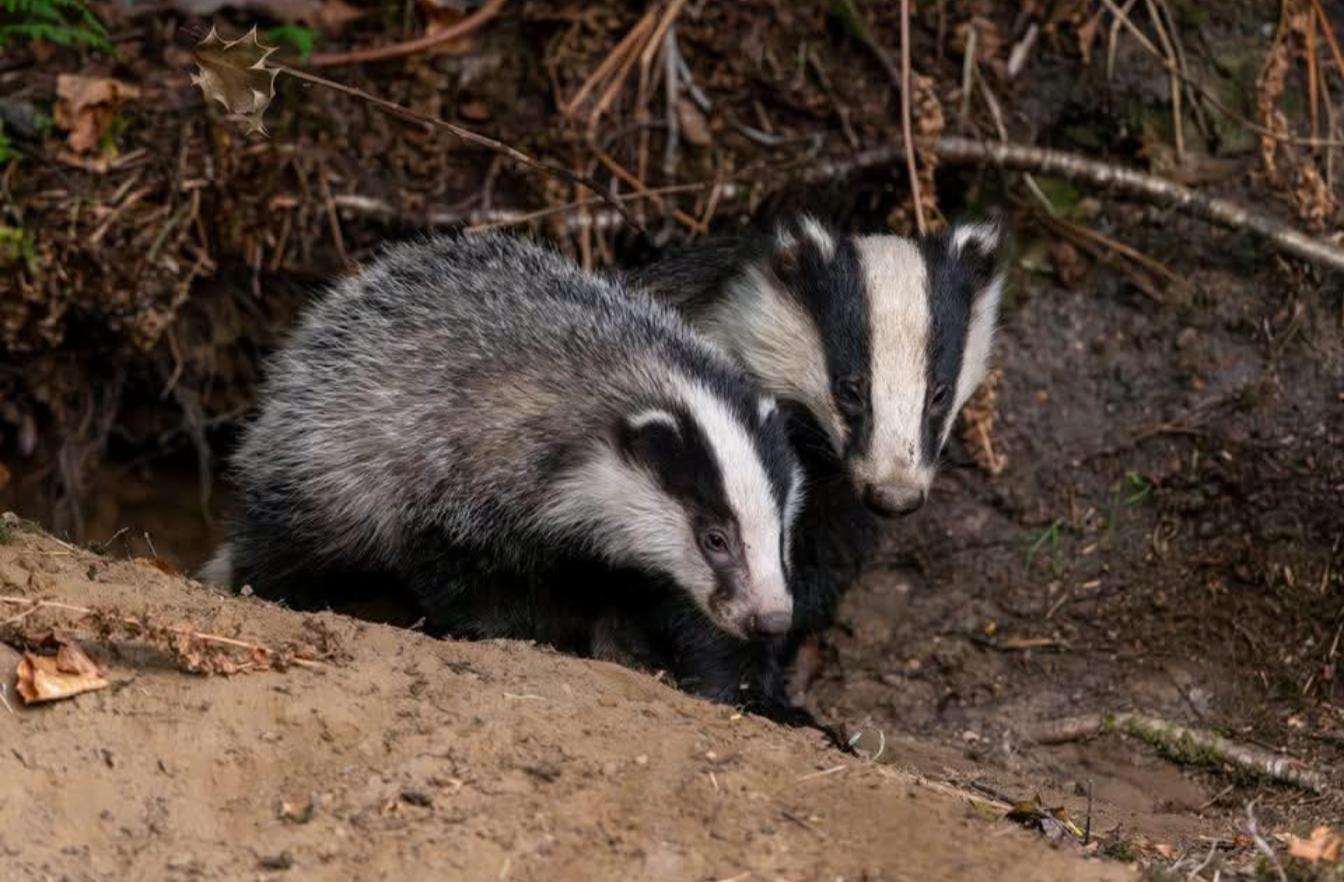 Product - 1747574933