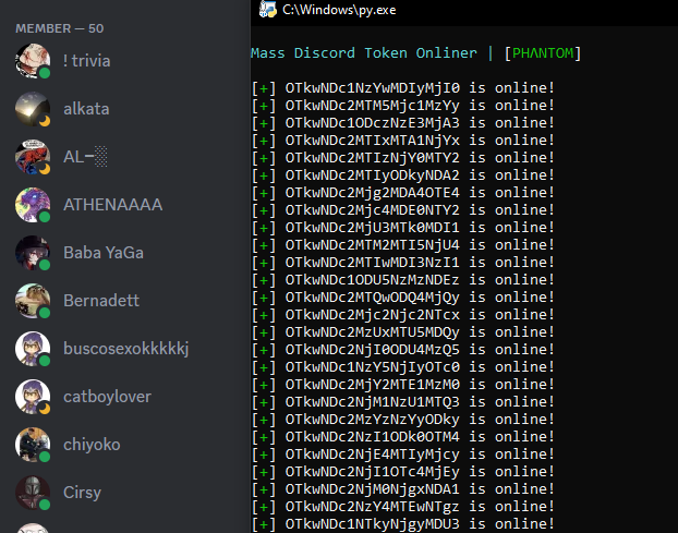 Mass Discord Token Onliner