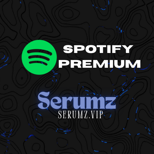 Spotify Lifetime /Paused
