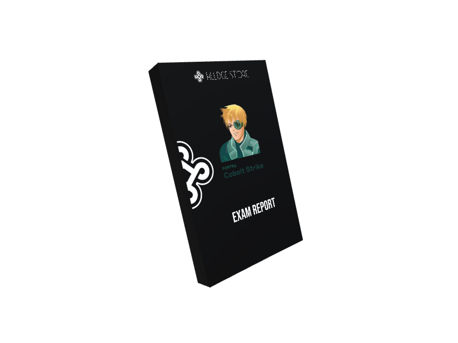 Cobalt Stike 4.9.1 by Ucare 2025