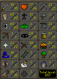 95 Attack Green Dragon Acc