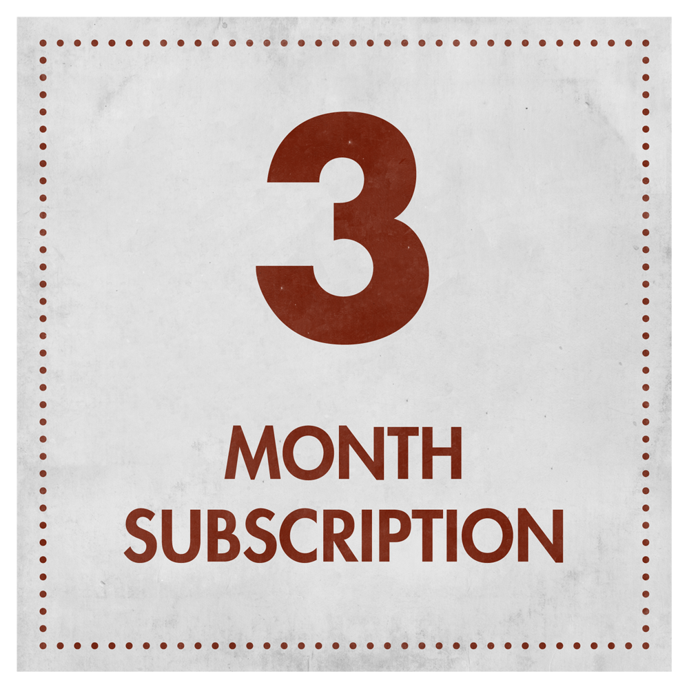 12 MONTHS SUBSCRIPTION 