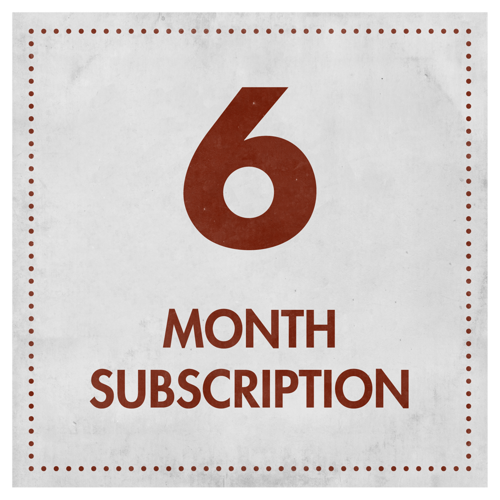 6 MONTHS SUBSCRIPTION
