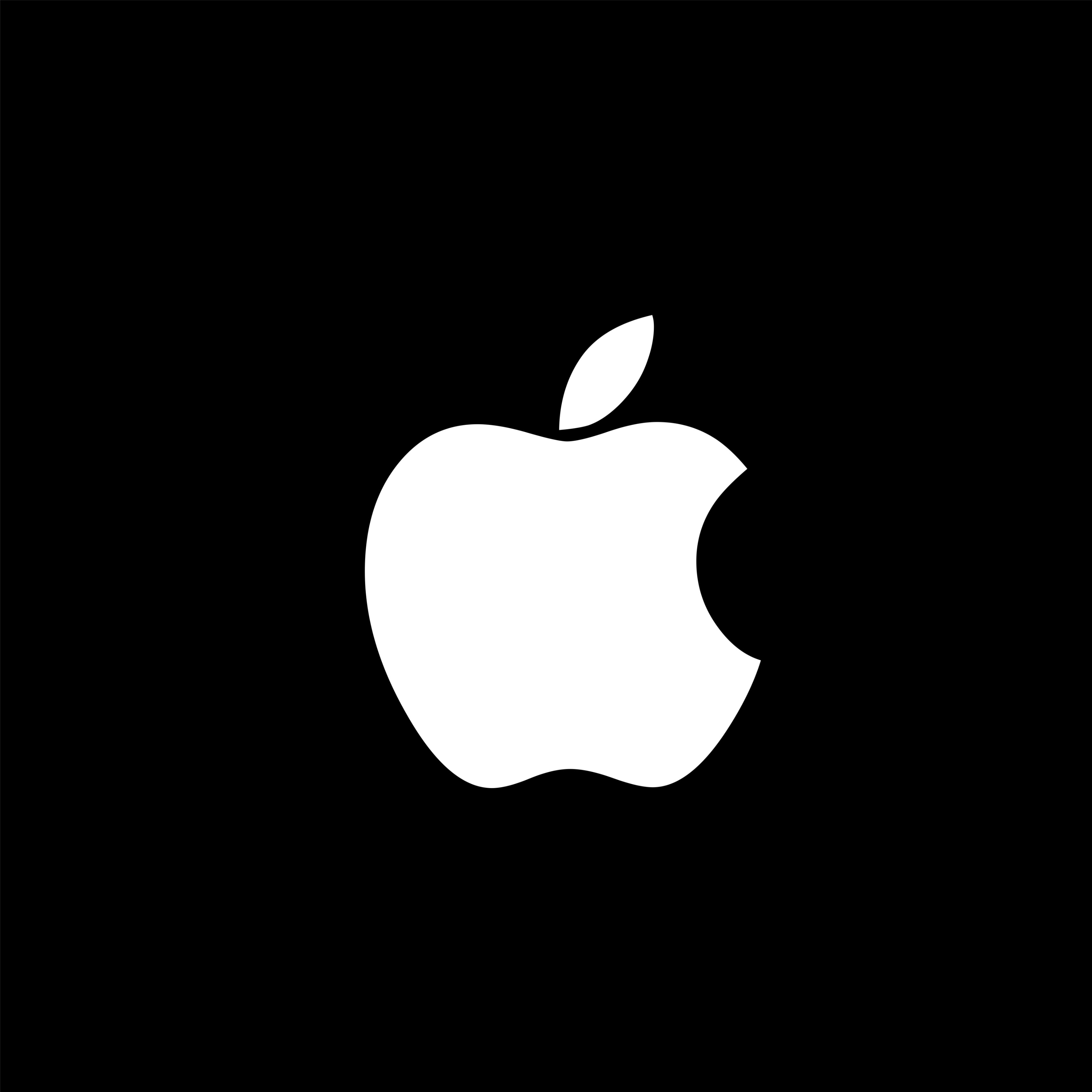 Apple Email Receipt