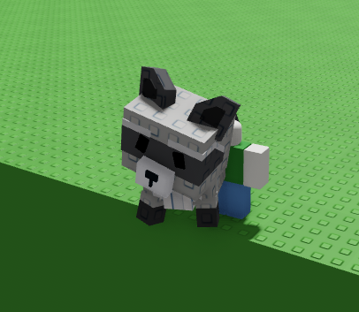 Raccoon