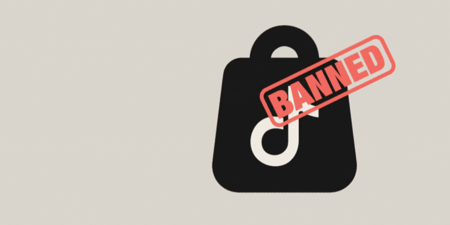 TikTok Mass Report Ban Tool Pro