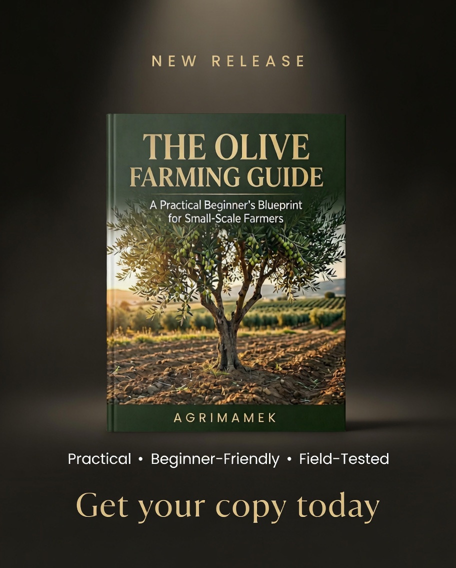 THE OLIVE FARMING GUIDE