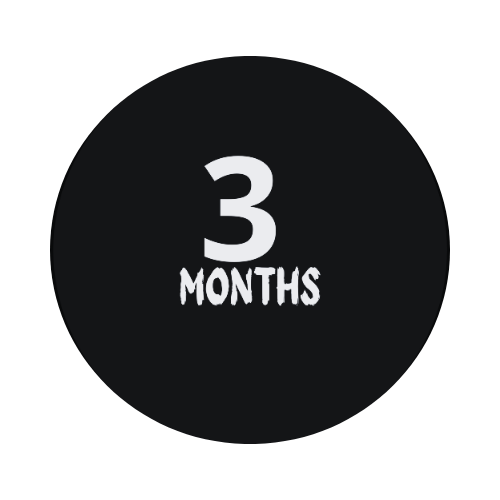 3 månader