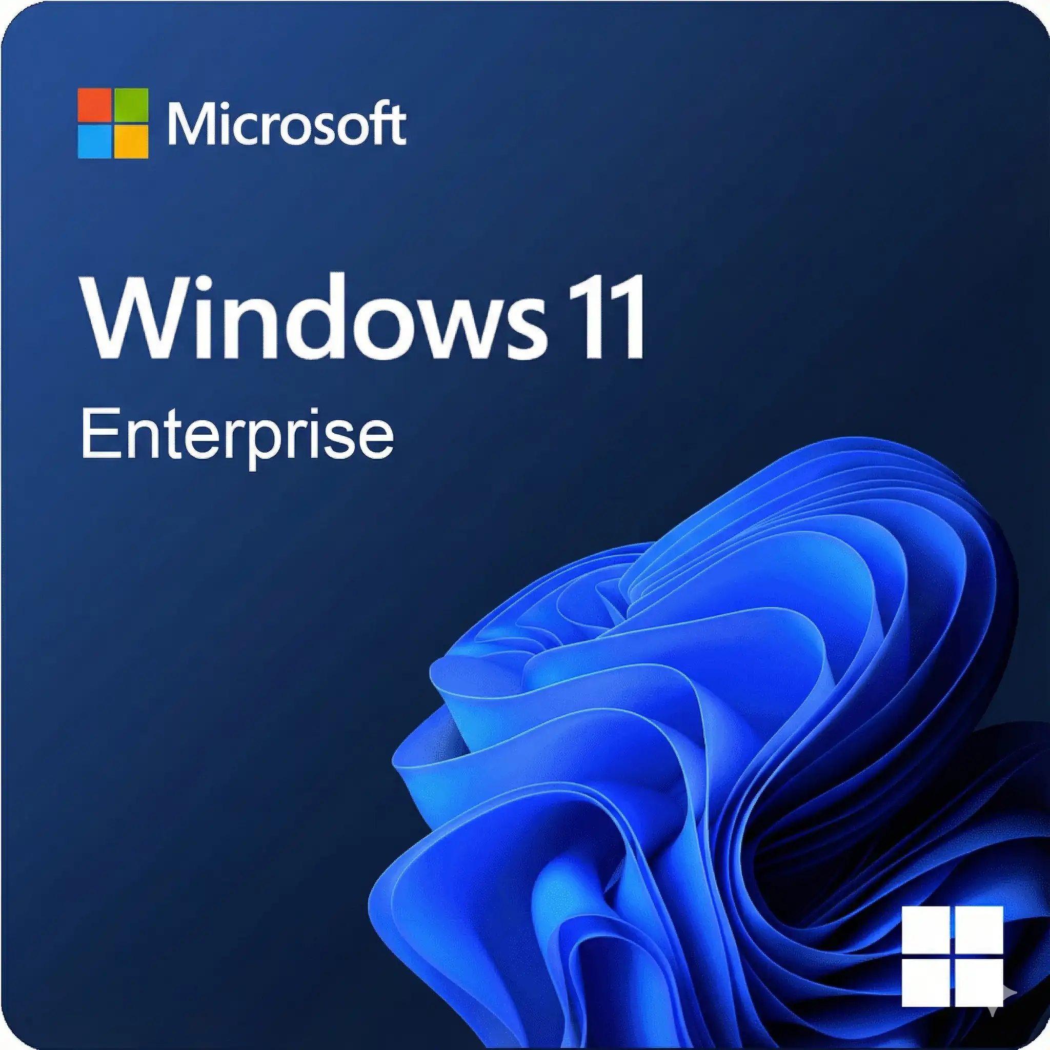 Windows 11 Enterprise 50PC