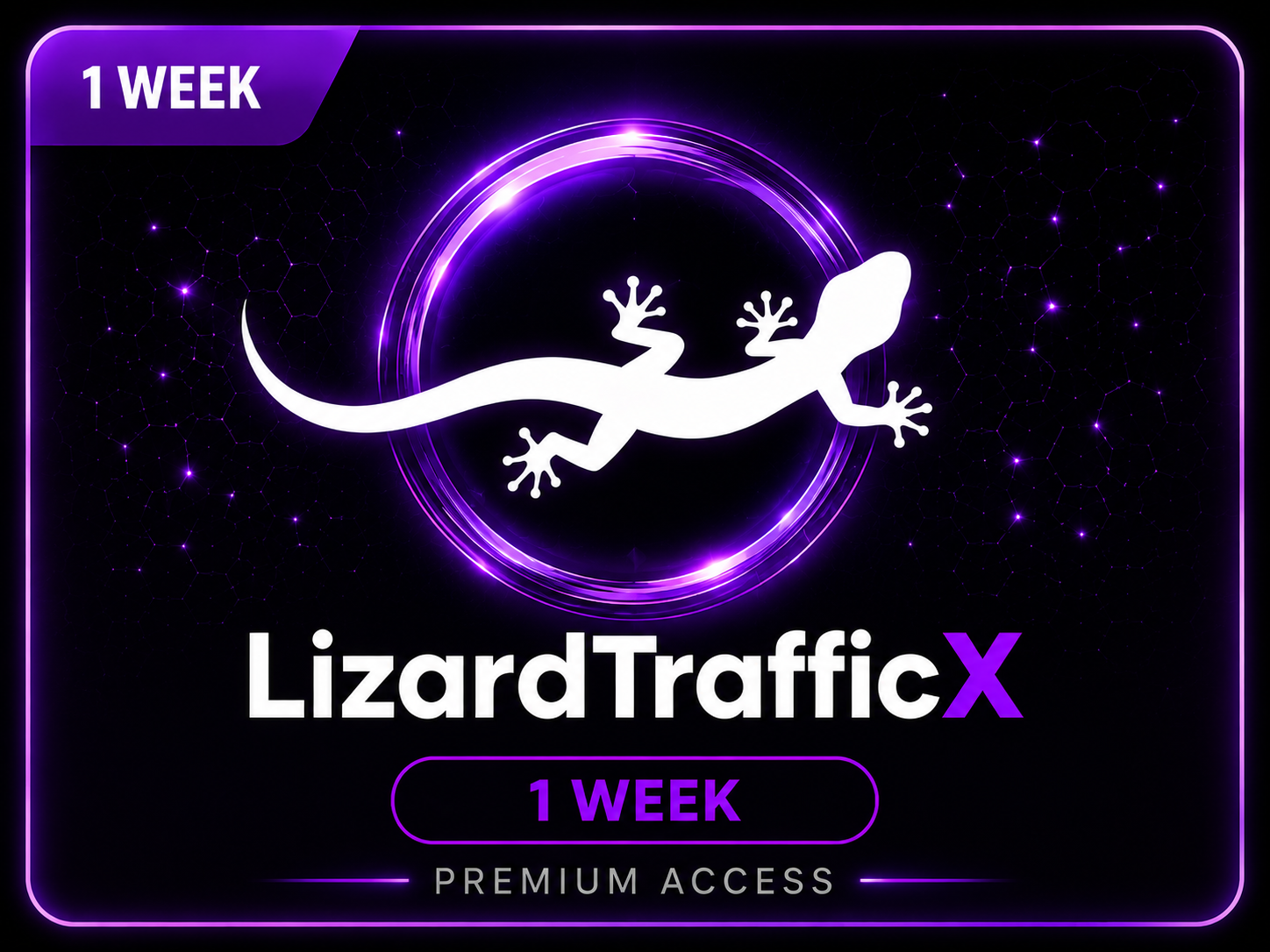 LizardTrafficX 1 Week