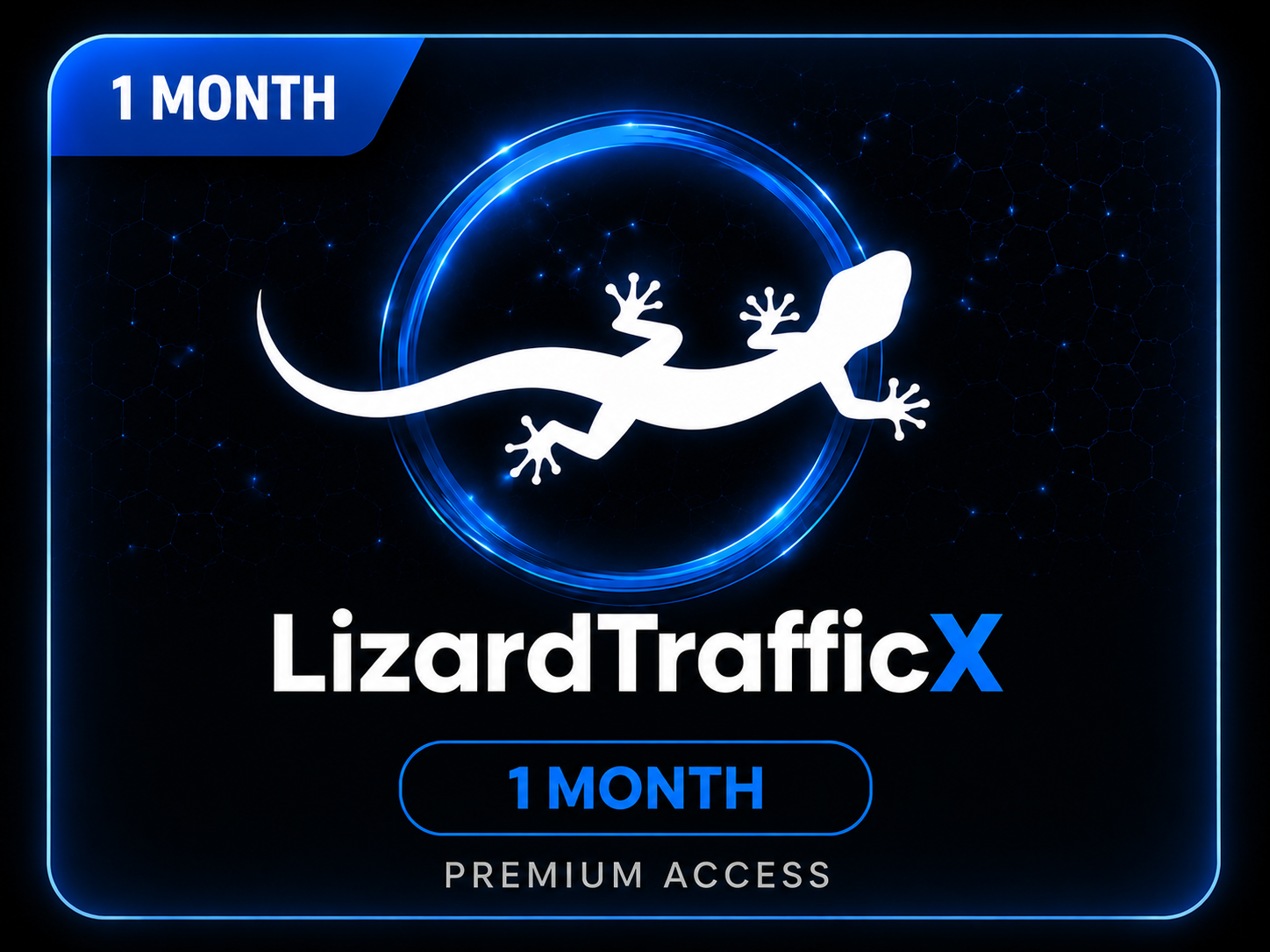 LizardTrafficX 1 Mounth
