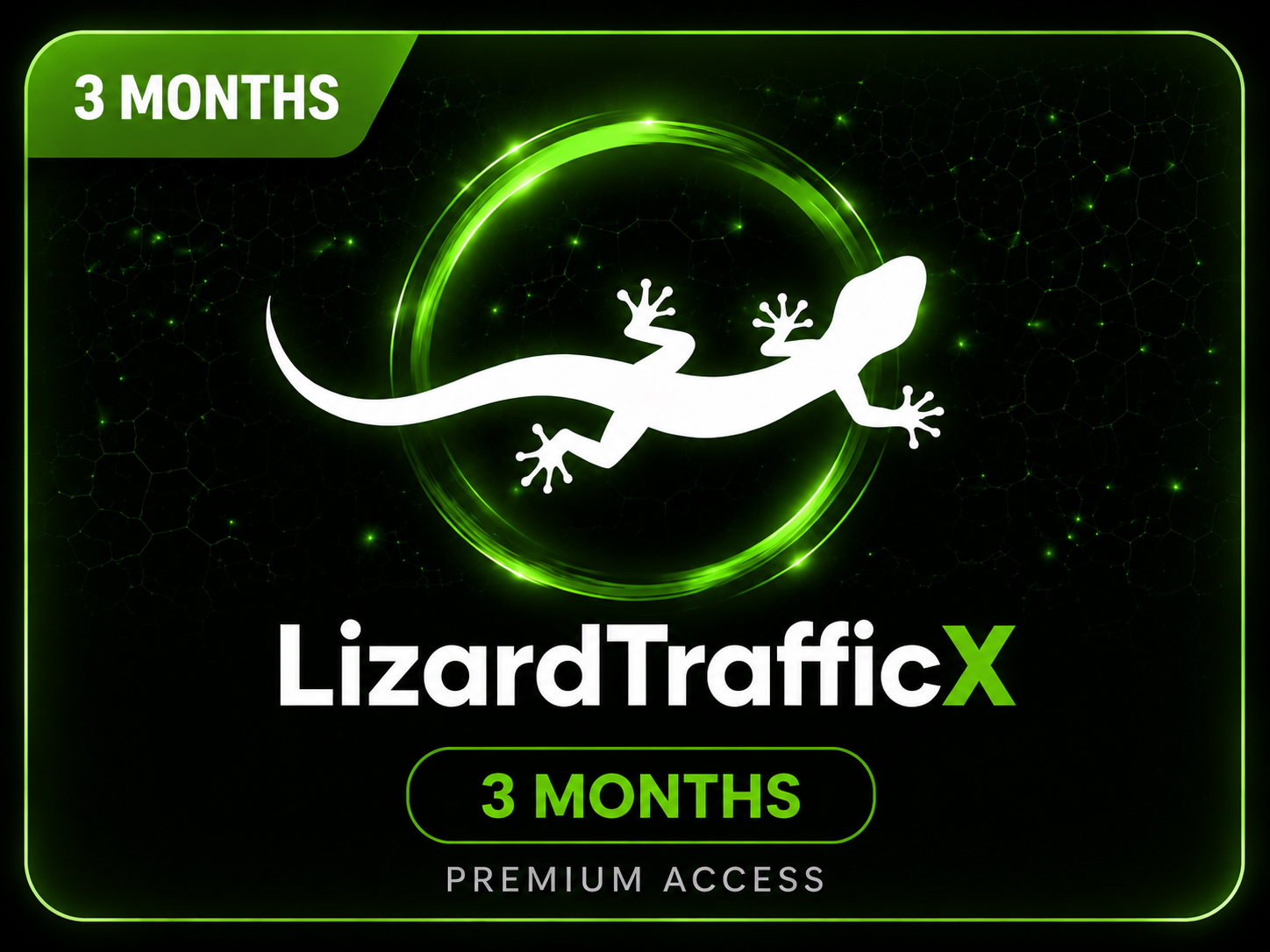 LizardTrafficX 3 Mounth