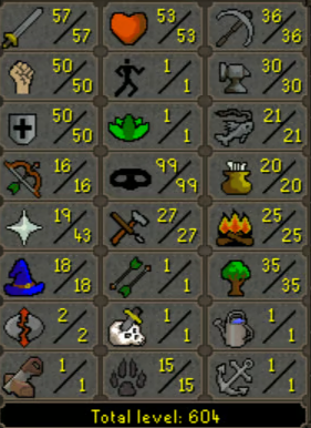 Product - 600+ total 99 thieving account