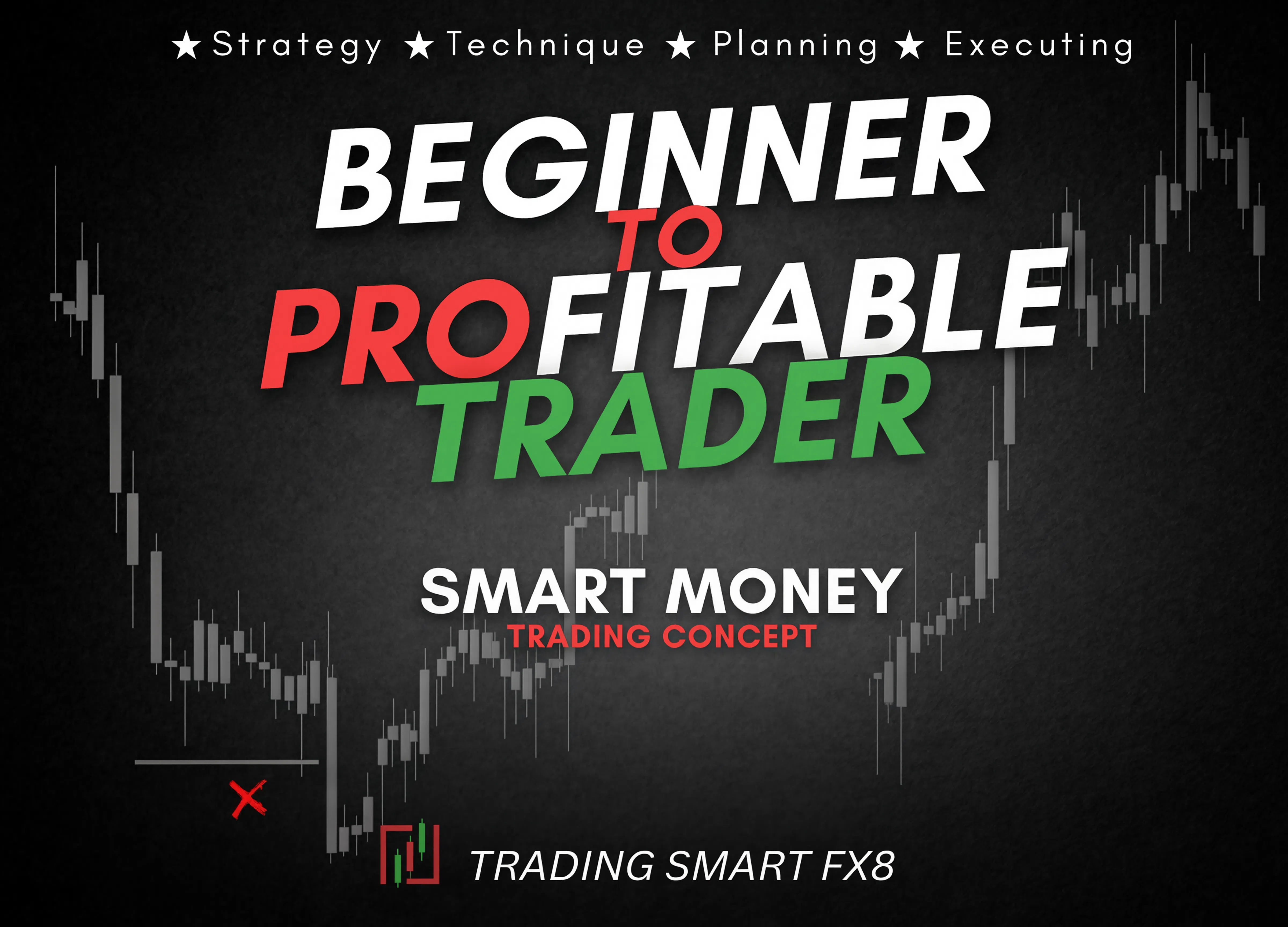 Beginner to Profitable Trader