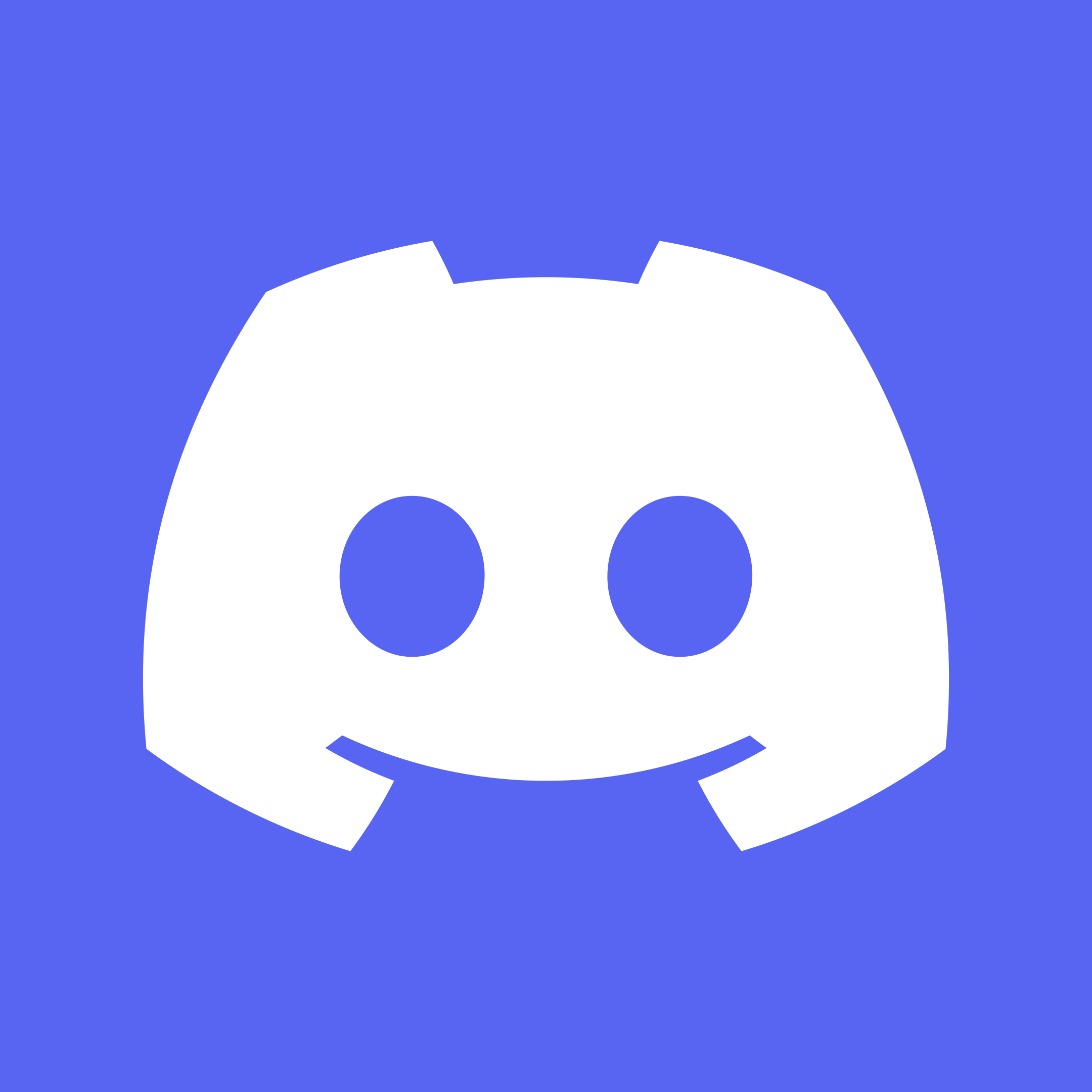 Discord Server Setups