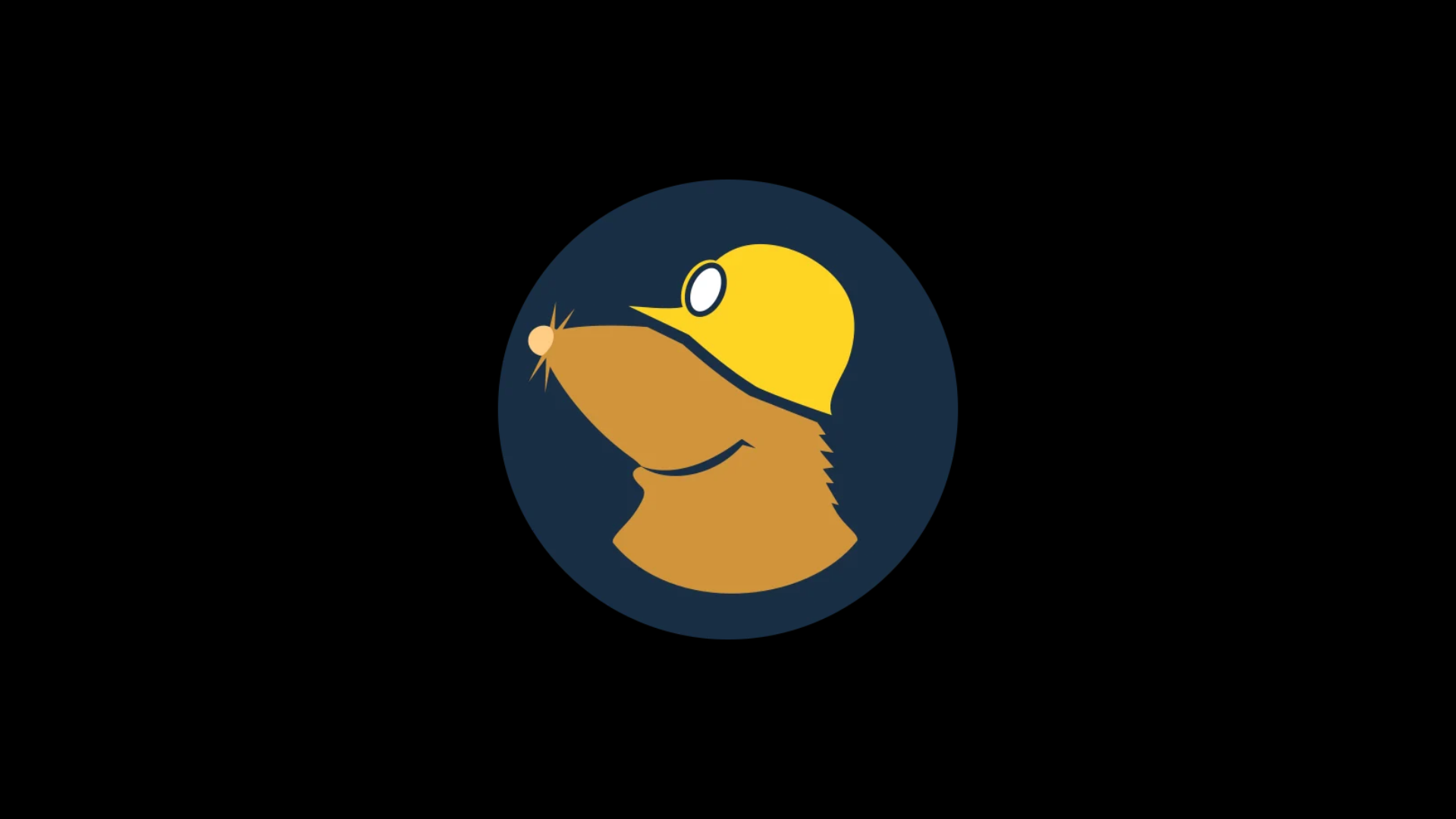 Mullvad VPN Account | 1-12 Months